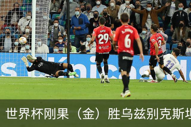 世界杯刚果（金）胜乌兹别克斯坦 韩国无缘32强